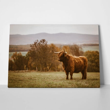 Πίνακας σε Καμβά RUSTIC FARMHOUSE COW 22 - 