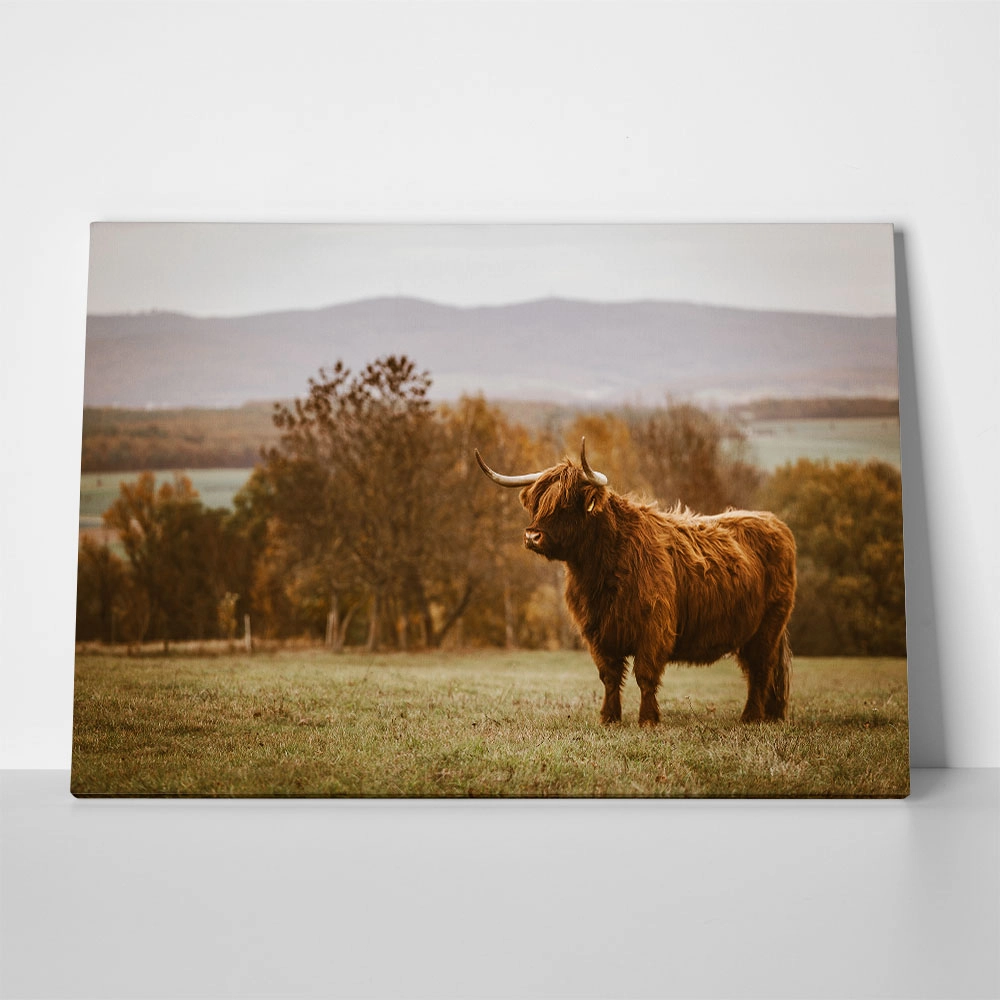 Πίνακας σε Καμβά RUSTIC FARMHOUSE COW 22
