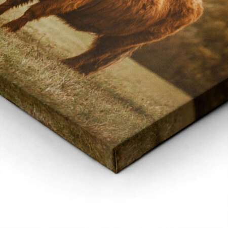 Πίνακας σε Καμβά RUSTIC FARMHOUSE COW 22 -  Sticky 1