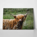 Πίνακας σε Καμβά RUSTIC FARMHOUSE COW 23