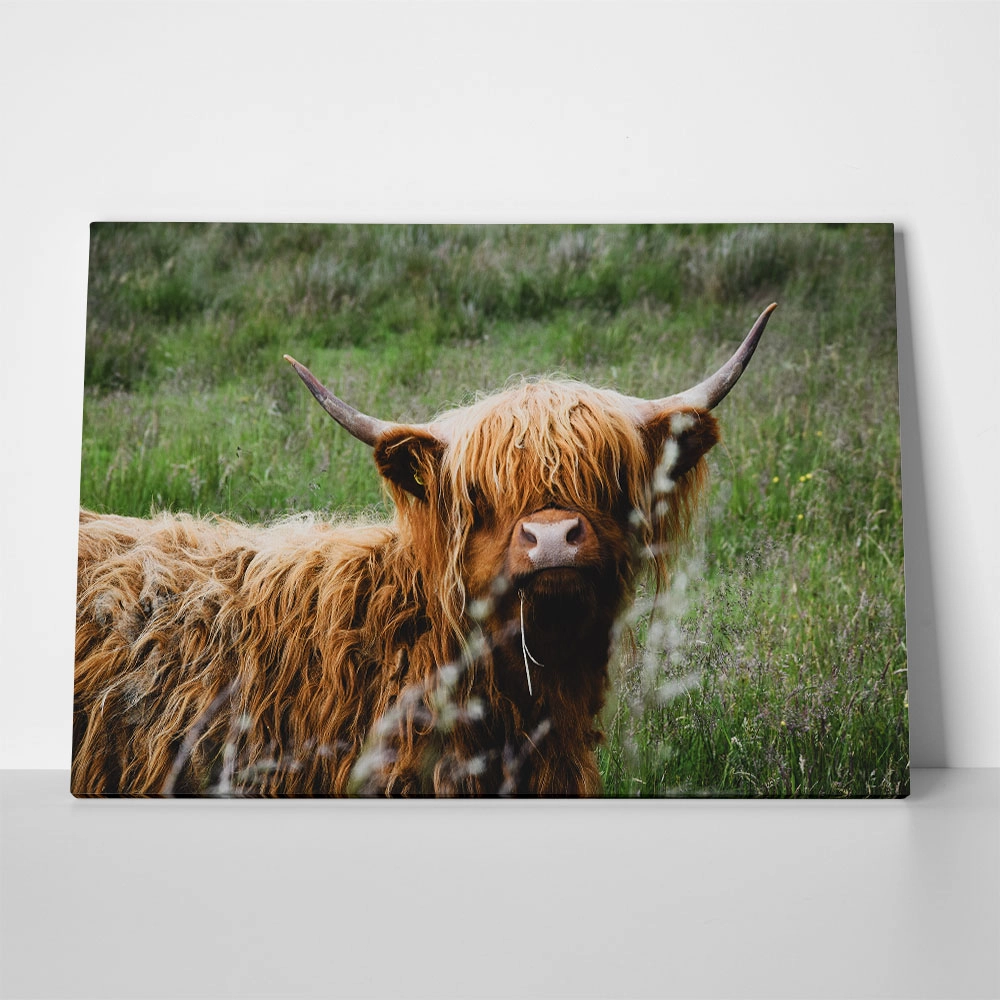 Πίνακας σε Καμβά RUSTIC FARMHOUSE COW 23