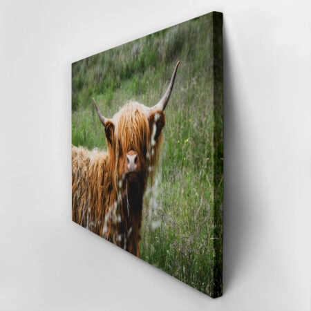Πίνακας σε Καμβά RUSTIC FARMHOUSE COW 23 -  Sticky 2