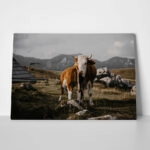 Πίνακας σε Καμβά RUSTIC FARMHOUSE COW 24