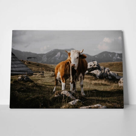 Πίνακας σε Καμβά RUSTIC FARMHOUSE COW 24 - 