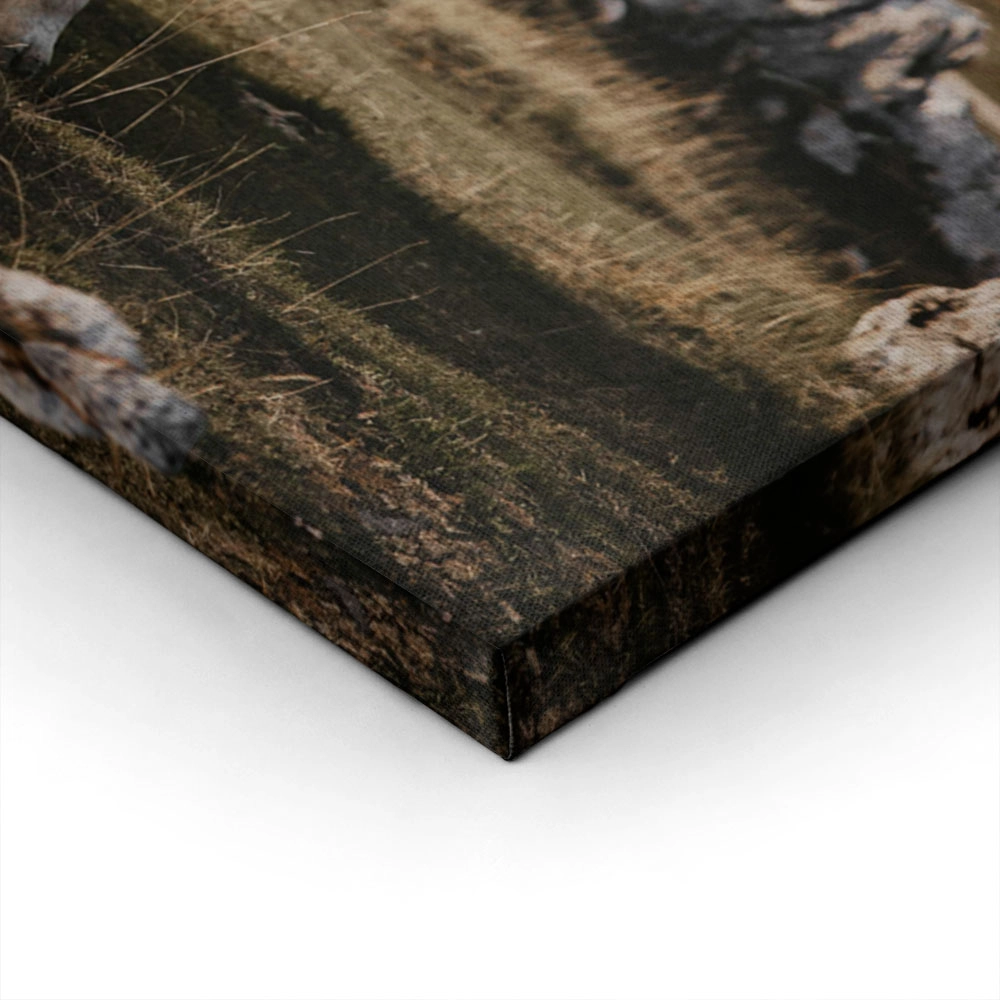 Πίνακας σε Καμβά RUSTIC FARMHOUSE COW 24