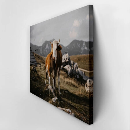 Πίνακας σε Καμβά RUSTIC FARMHOUSE COW 24 -  Sticky 2
