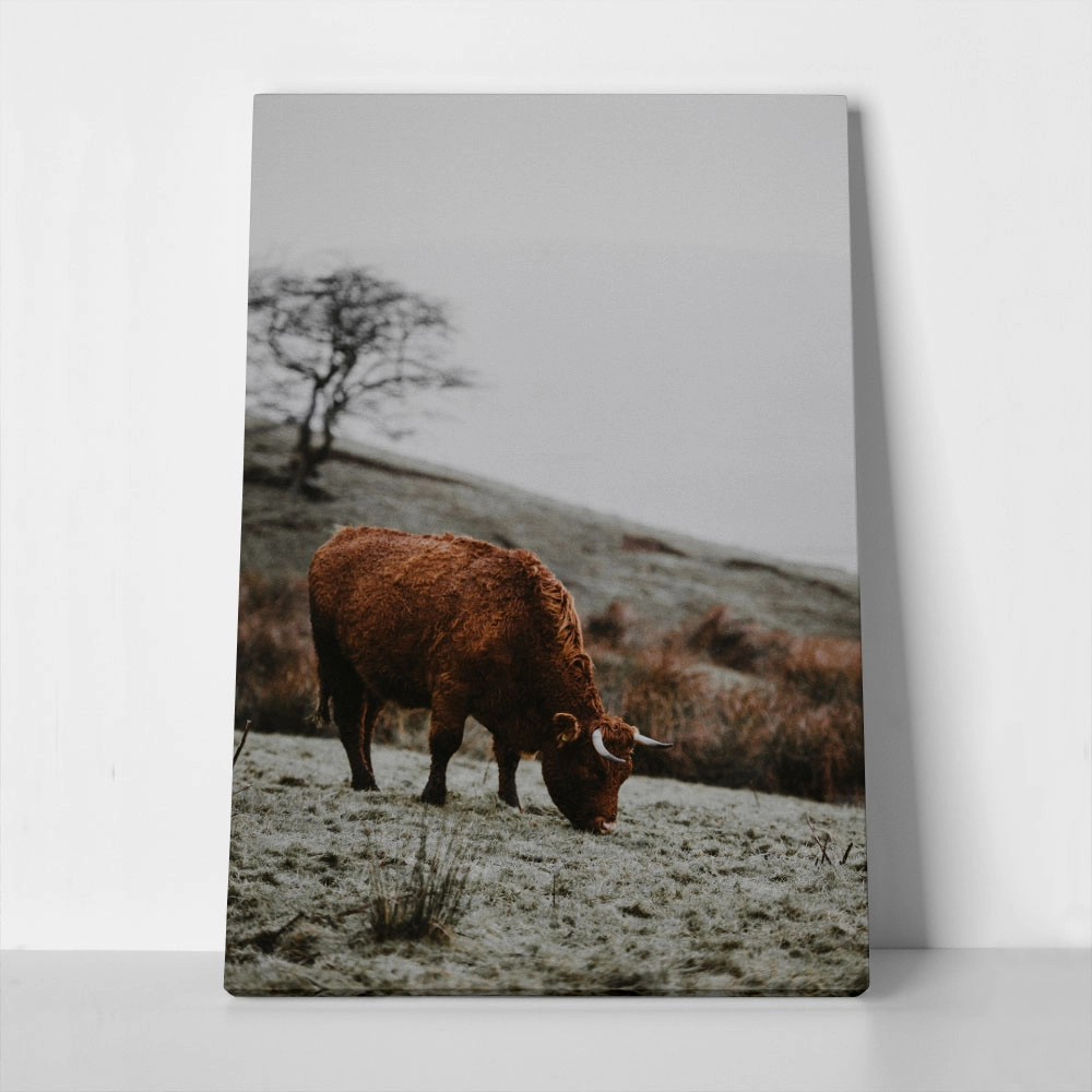 Πίνακας σε Καμβά RUSTIC FARMHOUSE COW 2