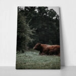 Πίνακας σε Καμβά RUSTIC FARMHOUSE COW 4