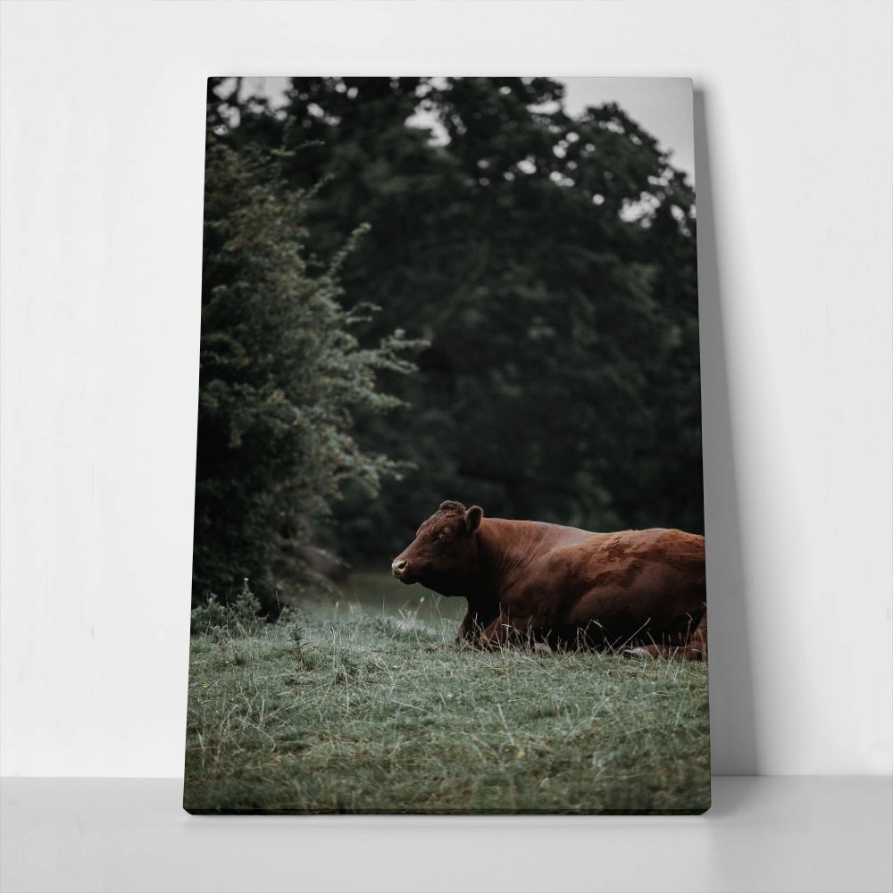 Πίνακας σε Καμβά RUSTIC FARMHOUSE COW 4