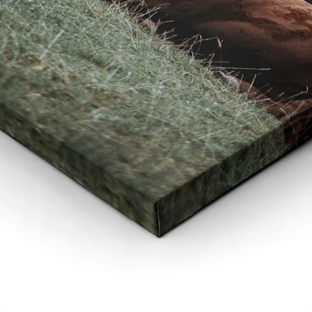 Πίνακας σε Καμβά RUSTIC FARMHOUSE COW 4