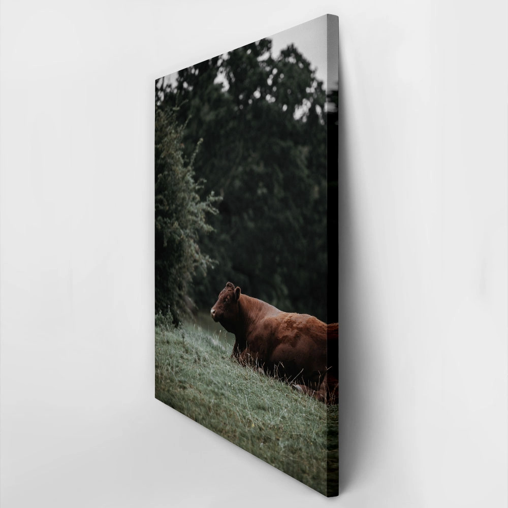 Πίνακας σε Καμβά RUSTIC FARMHOUSE COW 4