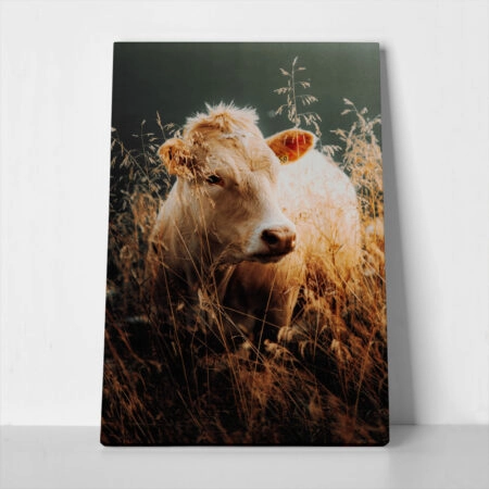 Πίνακας σε Καμβά RUSTIC FARMHOUSE COW 5 - 