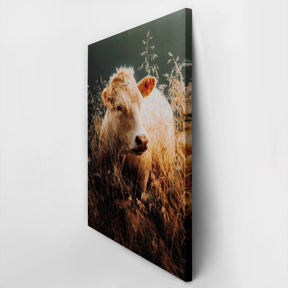 Πίνακας σε Καμβά RUSTIC FARMHOUSE COW 5