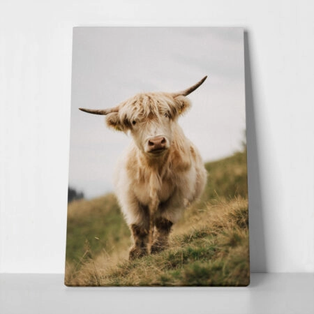 Πίνακας σε Καμβά RUSTIC FARMHOUSE COW 6 - 