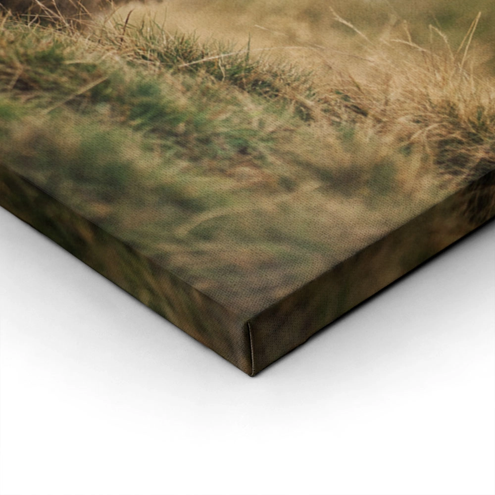 Πίνακας σε Καμβά RUSTIC FARMHOUSE COW 6