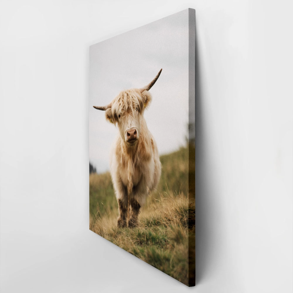 Πίνακας σε Καμβά RUSTIC FARMHOUSE COW 6