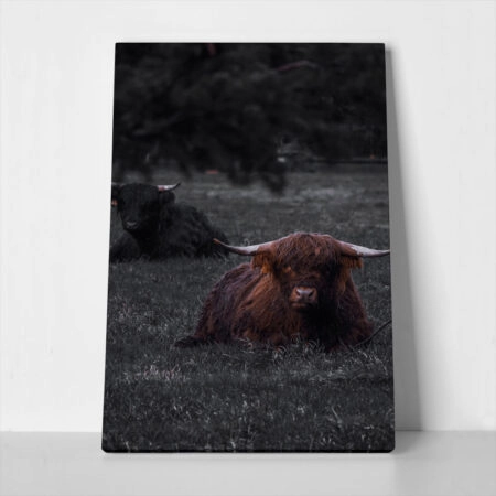 Πίνακας σε Καμβά RUSTIC FARMHOUSE COW 8 - 