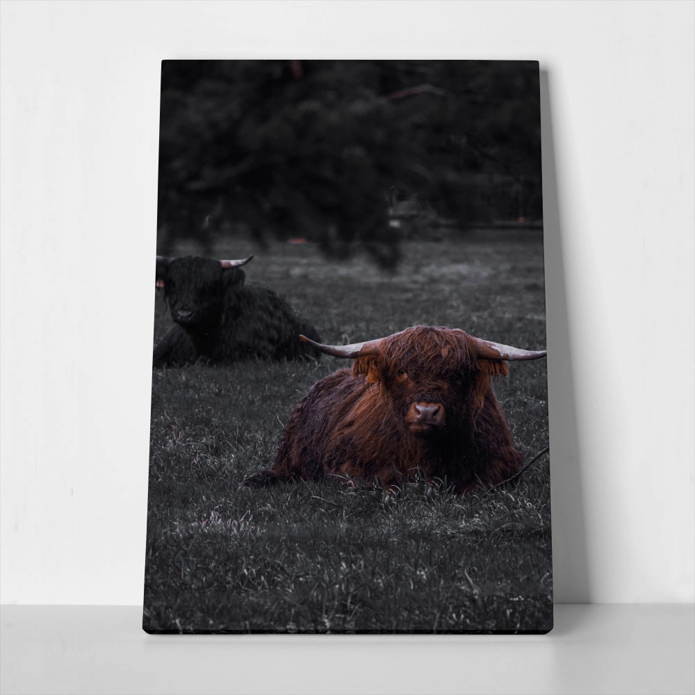 Πίνακας σε Καμβά RUSTIC FARMHOUSE COW 8