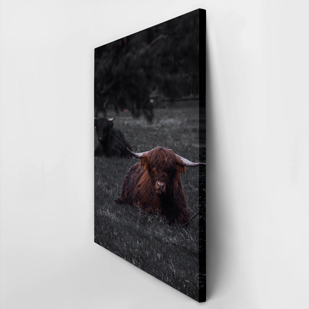 Πίνακας σε Καμβά RUSTIC FARMHOUSE COW 8