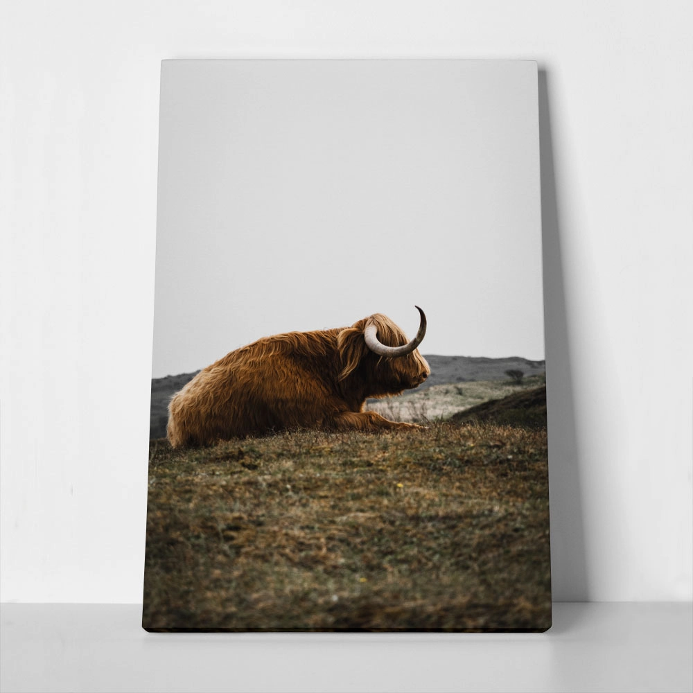 Πίνακας σε Καμβά RUSTIC FARMHOUSE COW 9