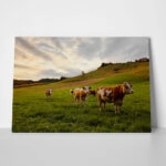 Πίνακας σε Καμβά RUSTIC FARMHOUSE COWS 10