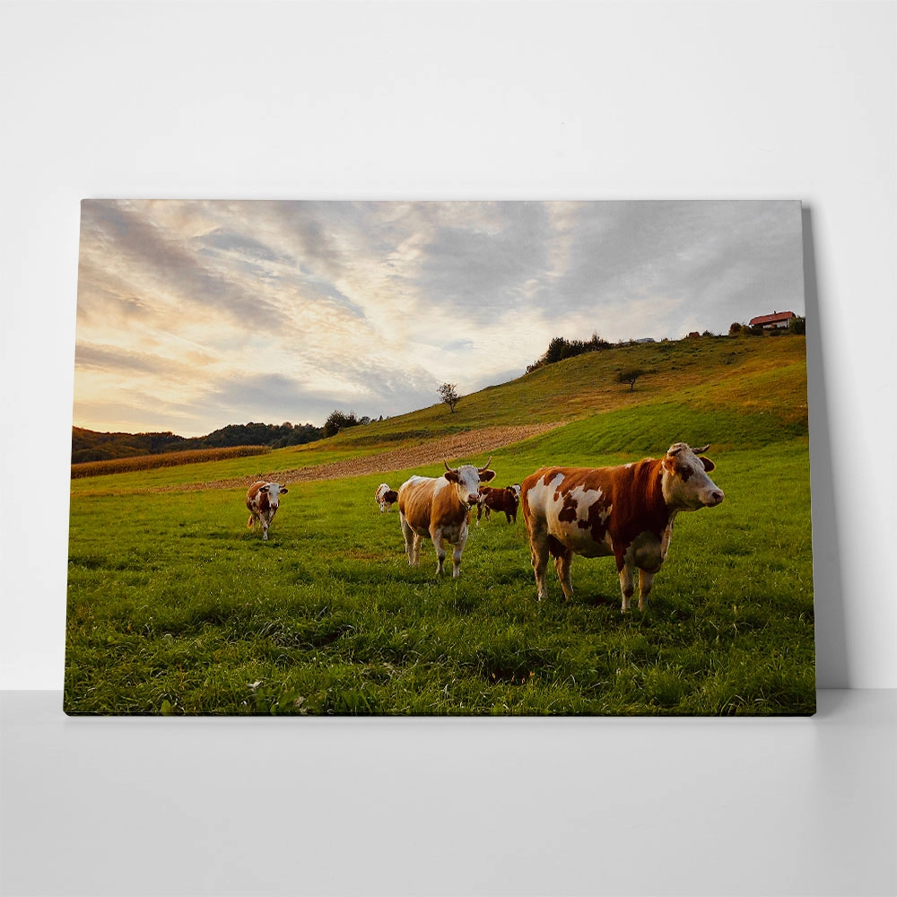 Πίνακας σε Καμβά RUSTIC FARMHOUSE COWS 10