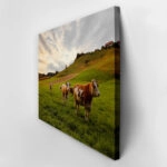 Πίνακας σε Καμβά RUSTIC FARMHOUSE COWS 10