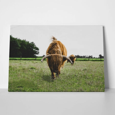 Πίνακας σε Καμβά RUSTIC FARMHOUSE COWS 11 - 