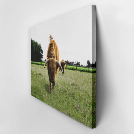Πίνακας σε Καμβά RUSTIC FARMHOUSE COWS 11 -  Sticky 2