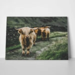 Πίνακας σε Καμβά RUSTIC FARMHOUSE COWS 12
