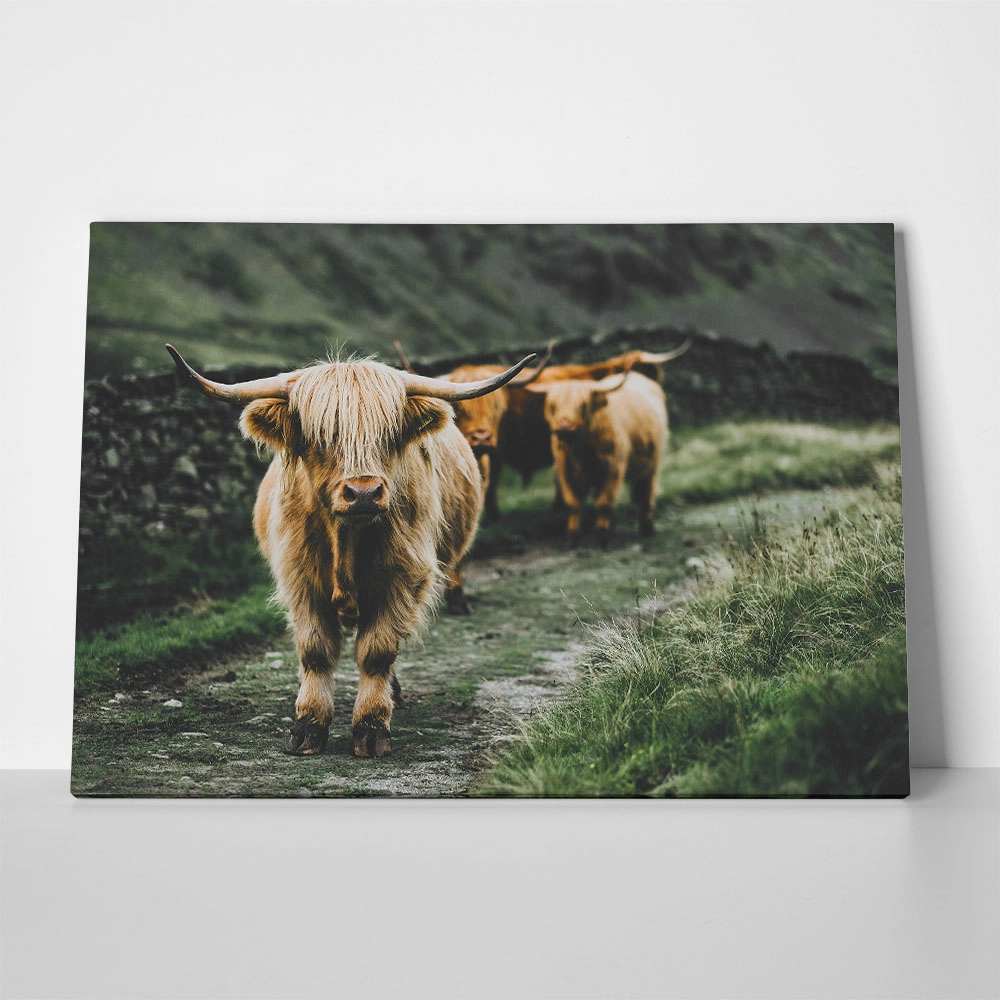 Πίνακας σε Καμβά RUSTIC FARMHOUSE COWS 12