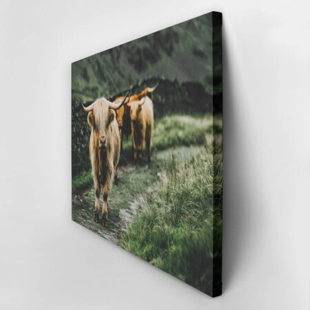 Πίνακας σε Καμβά RUSTIC FARMHOUSE COWS 12 -  Sticky 2