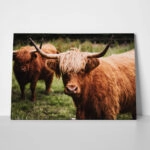 Πίνακας σε Καμβά RUSTIC FARMHOUSE COWS 13