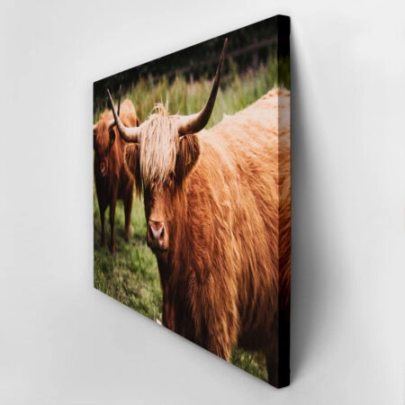 Πίνακας σε Καμβά RUSTIC FARMHOUSE COWS 13 -  Sticky 2