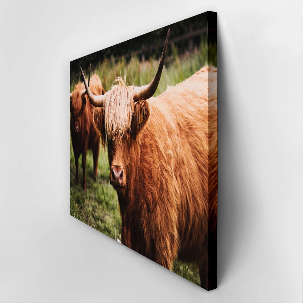 Πίνακας σε Καμβά RUSTIC FARMHOUSE COWS 13