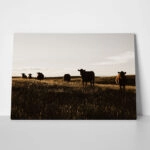 Πίνακας σε Καμβά RUSTIC FARMHOUSE COWS 14