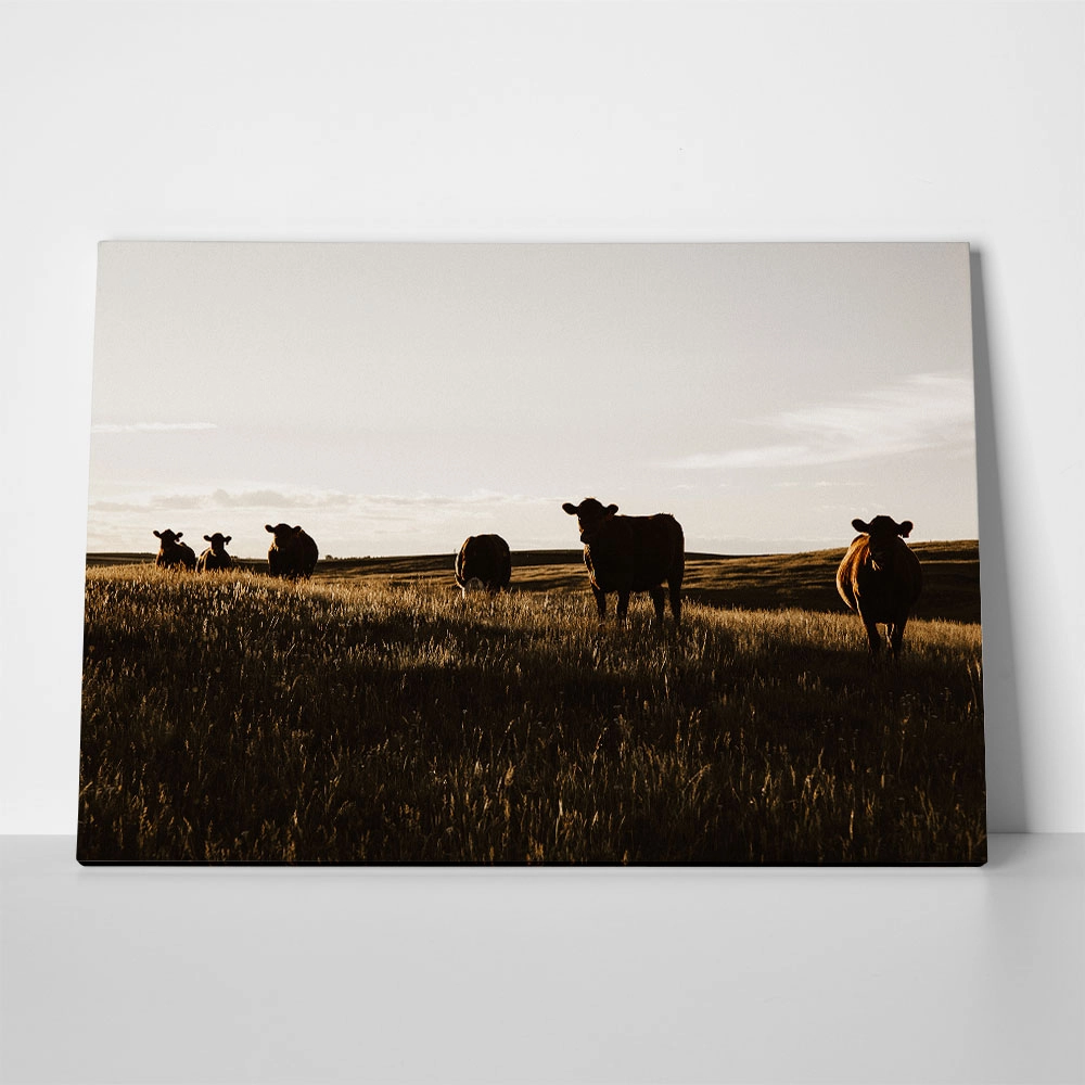 Πίνακας σε Καμβά RUSTIC FARMHOUSE COWS 14
