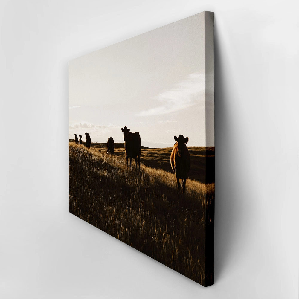 Πίνακας σε Καμβά RUSTIC FARMHOUSE COWS 14