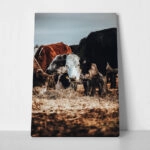 Πίνακας σε Καμβά RUSTIC FARMHOUSE COWS 2