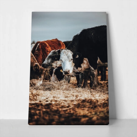 Πίνακας σε Καμβά RUSTIC FARMHOUSE COWS 2 - 