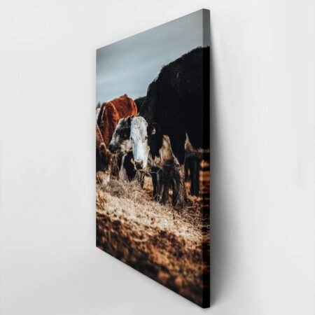 Πίνακας σε Καμβά RUSTIC FARMHOUSE COWS 2 -  Sticky 2