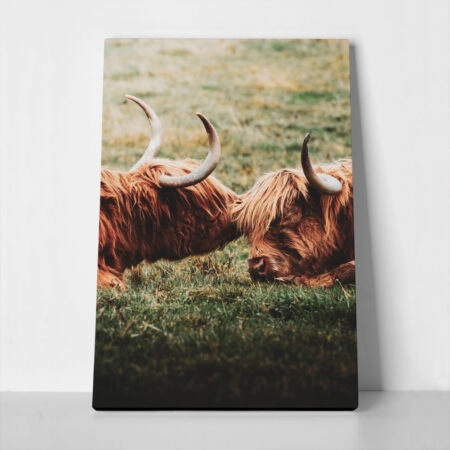 Πίνακας σε Καμβά RUSTIC FARMHOUSE COWS 3 - 