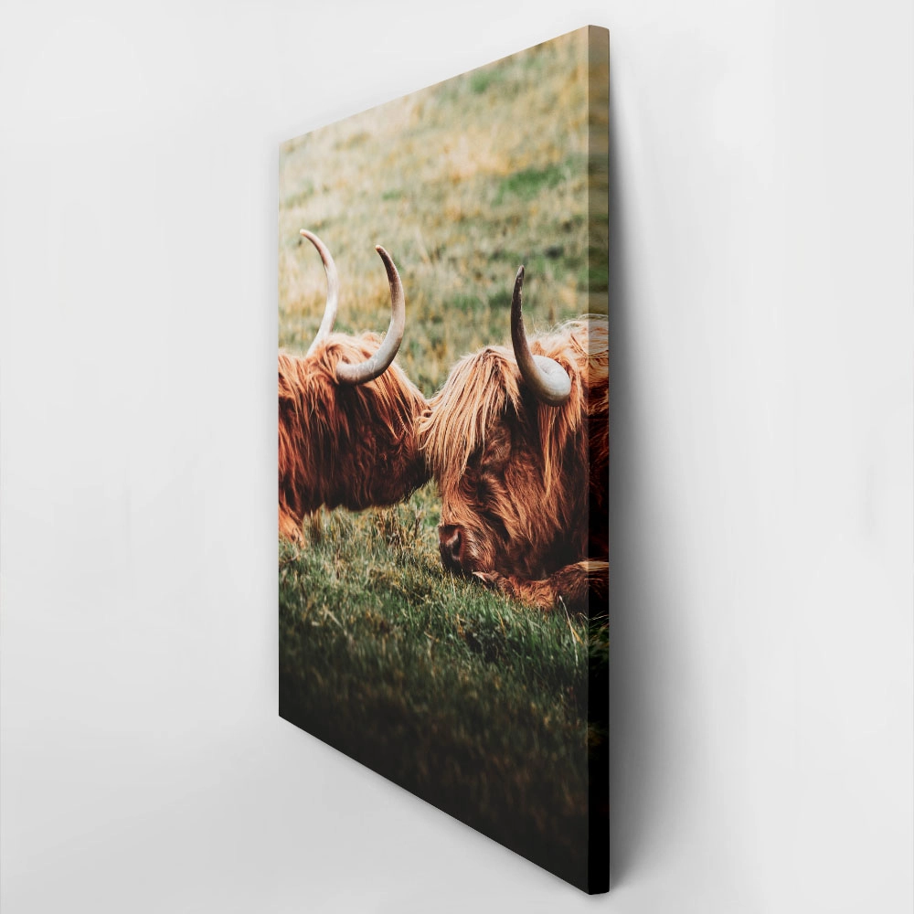 Πίνακας σε Καμβά RUSTIC FARMHOUSE COWS 3