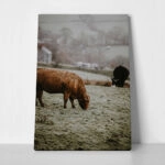 Πίνακας σε Καμβά RUSTIC FARMHOUSE COWS 4