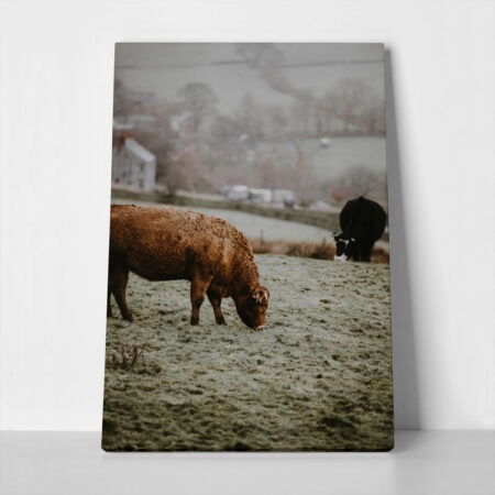 Πίνακας σε Καμβά RUSTIC FARMHOUSE COWS 4 - 