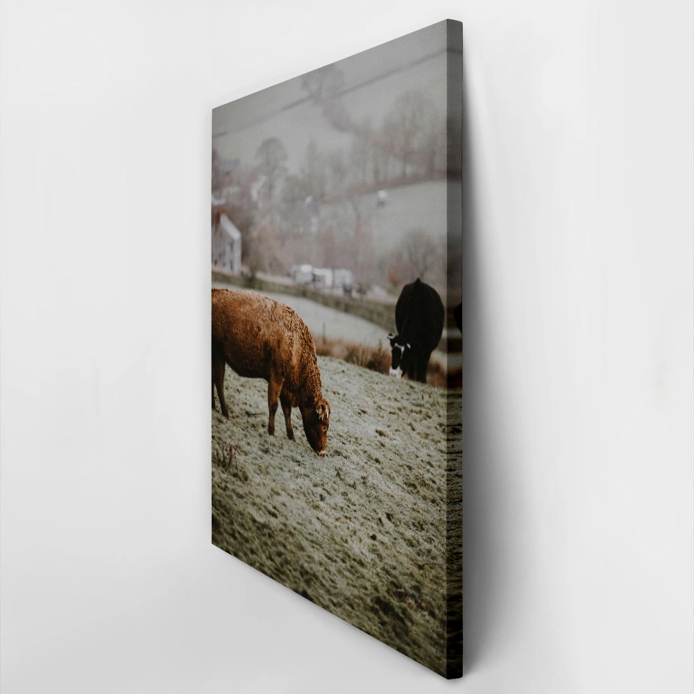 Πίνακας σε Καμβά RUSTIC FARMHOUSE COWS 4