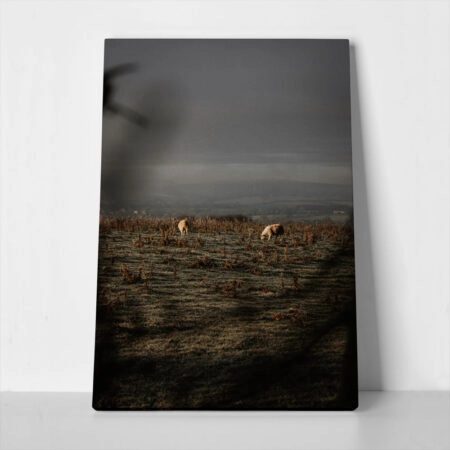 Πίνακας σε Καμβά RUSTIC FARMHOUSE COWS 5 - 
