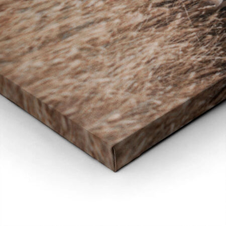 Πίνακας σε Καμβά RUSTIC FARMHOUSE COWS 6 -  Sticky 1