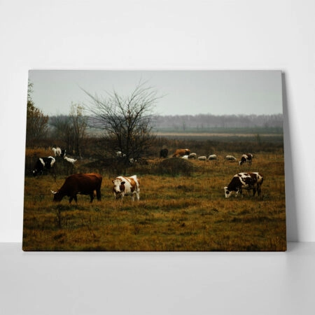 Πίνακας σε Καμβά RUSTIC FARMHOUSE COWS 8 - 