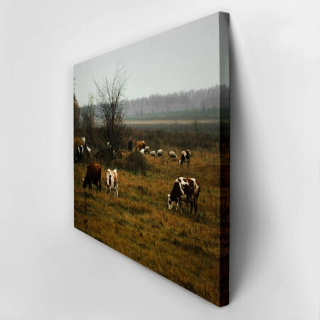 Πίνακας σε Καμβά RUSTIC FARMHOUSE COWS 8 -  Sticky 2